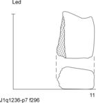 W22d0890 J1q1236-p07 Tx15 kF cv f296.jpg